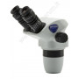SZX Head binocular