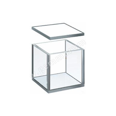 IMMERSION CELL 4x4cm