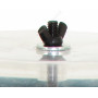 Vite per Buratto Raytech