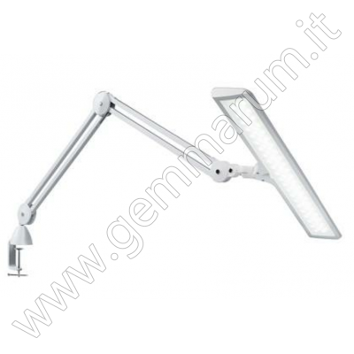 Lumi Daylight Lampada 6000° K