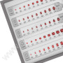 GEMSTONE SELECTOR - SET RUBINO E ZAFFIRO VARIE FORME