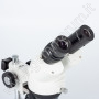 Motic Stereo Microscope