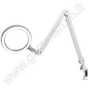 KALTLICHTLAMPE 6000°K