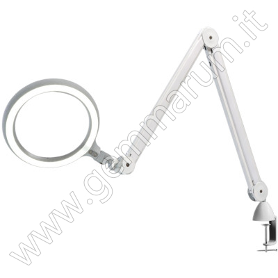 LAMPADA LUCE NORDICA 6000°K CON LENTE