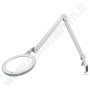 KALTLICHTLAMPE 6000°K